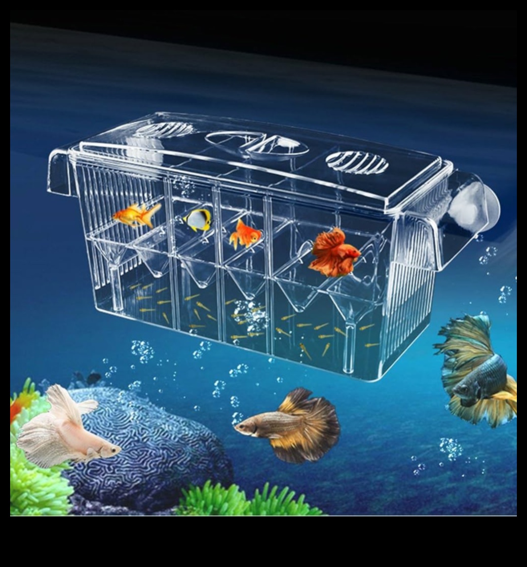 Fish Tank Fortunes Continued: Fortune-Telling Enrichment