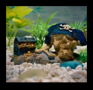 Fish Tank Freestyle: Improvised Decorating for Aquariums