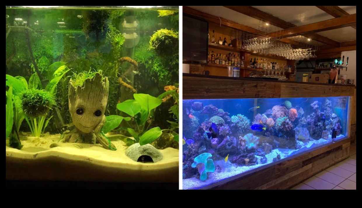 Fish Tank Freestyle: Improvised Decorating for Aquariums