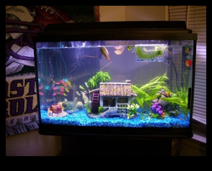 Fish Tank Freestyle: Improvised Decorating for Aquariums