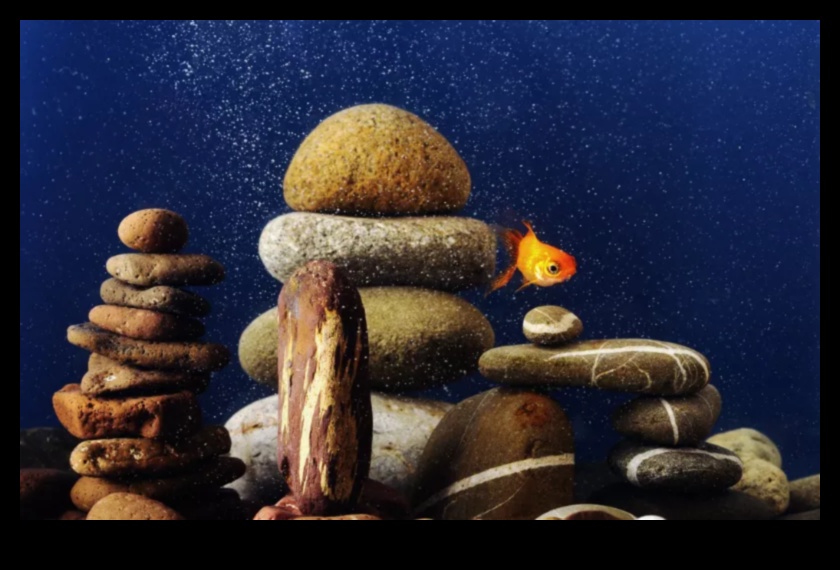 Fish Tank Zen Continued: Balancing Aquatic Elements for Harmony