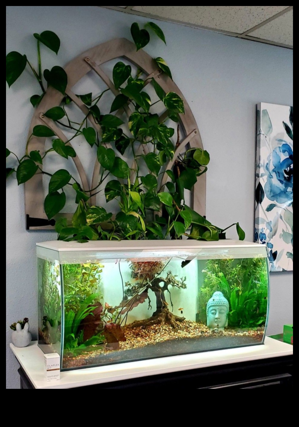 Fish Tank Zen Continued: Incorporating Plants for a Natural Feel