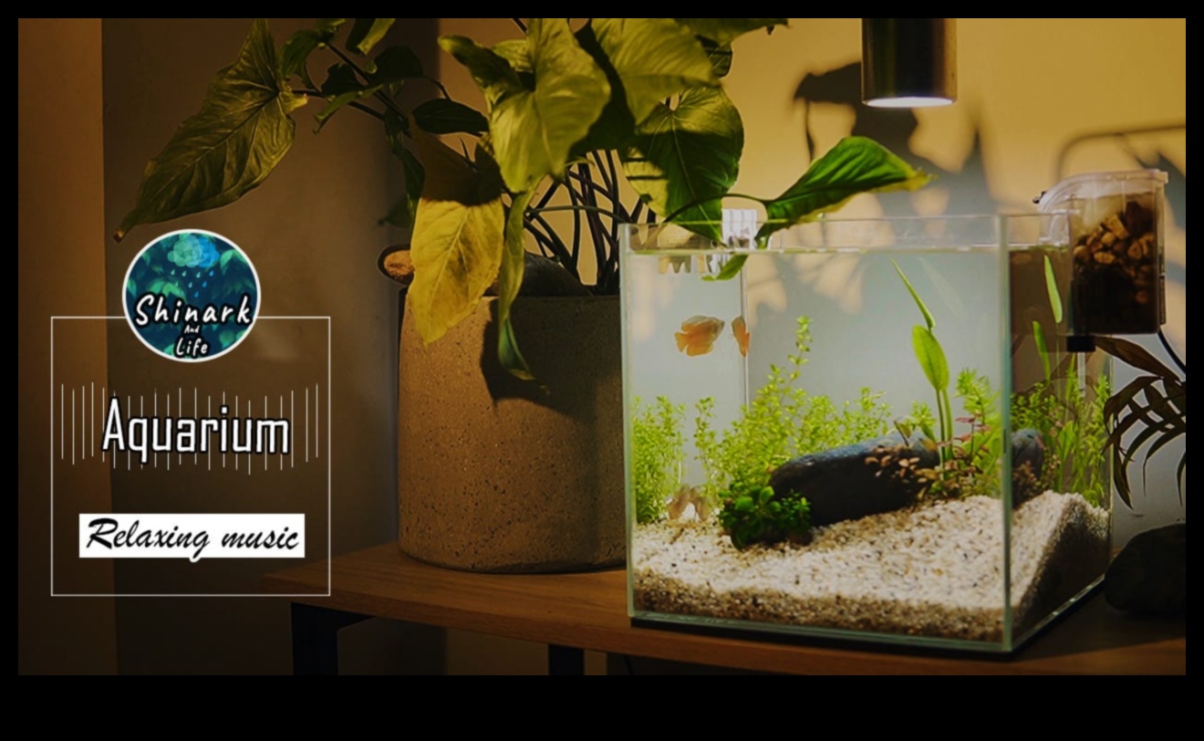 Fish Tank Zen Continued: Soothing Sounds and Music for Aquatic Bliss