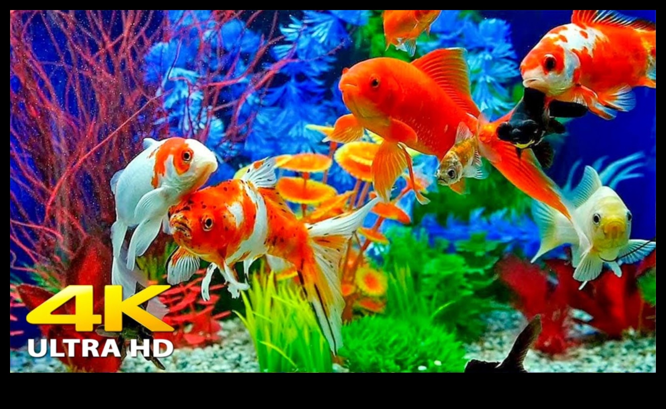 Fish Tank Zen Continued: Soothing Sounds and Music for Aquatic Bliss