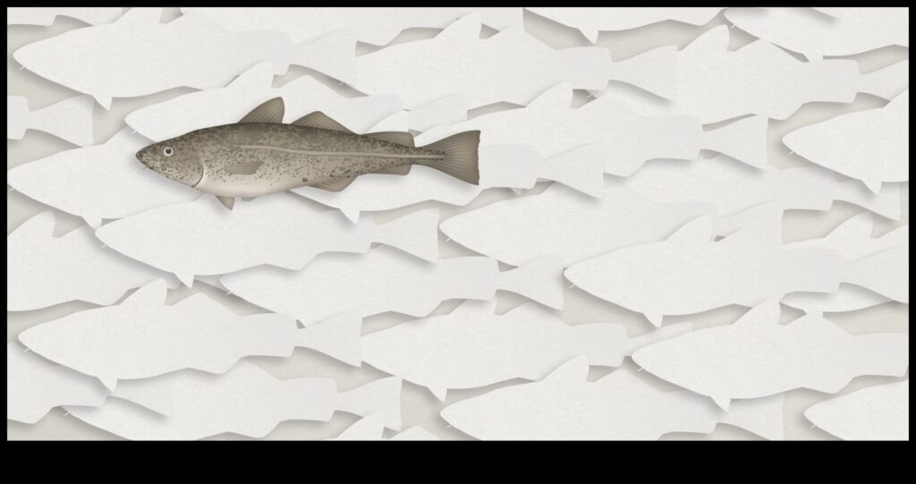 Fishonomics 101 How Fish Contribute to Ecosystems 1