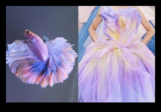 Fishy Fashion Finspiration: Bringing Fish Patterns into Style