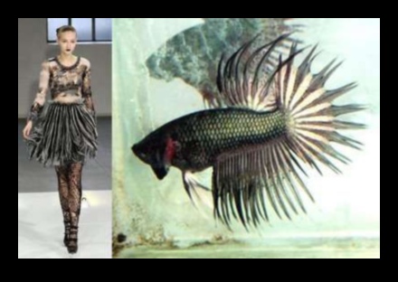 Fishy Fashion Finspiration: Bringing Fish Patterns into Style