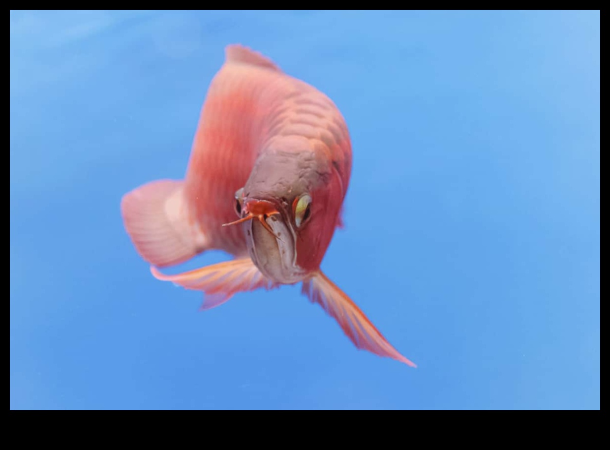 Fishy Folklore Continued: Superstitions and Beliefs About Fish