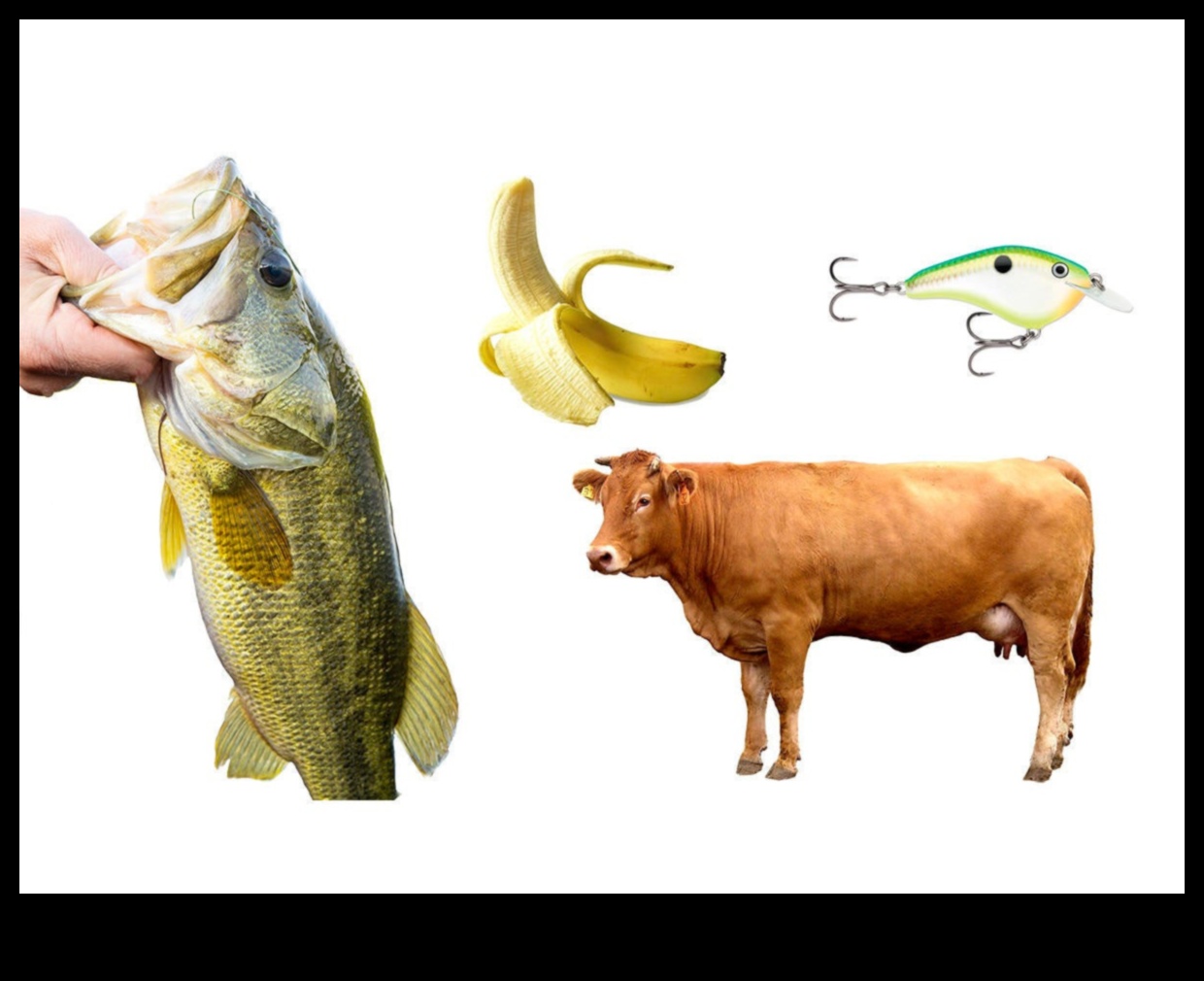 Fishy Folklore Continued: Superstitions and Beliefs About Fish