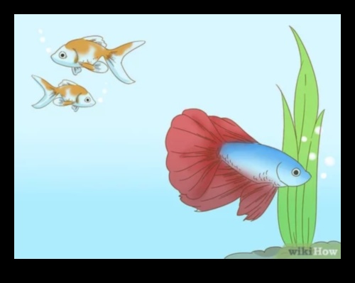 Fishy Friends: Building Bonds with Pet Fish