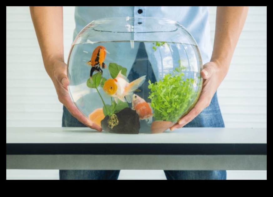 Fishy Friends Forever: Maintaining Healthy Aquarium Conditions