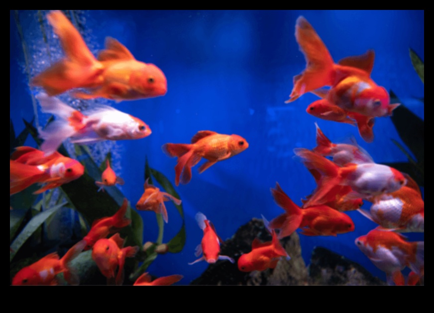 Fishy Friends Forever: Maintaining Healthy Aquarium Conditions