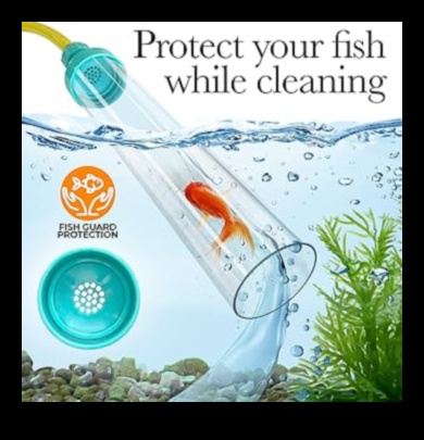 Fishy Friends Forever: Maintaining Healthy Aquarium Conditions