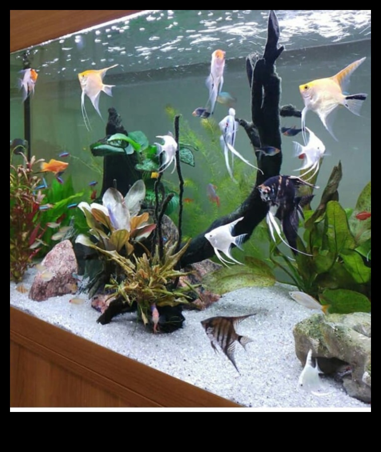 Fishy Friends Forever: Maintaining Healthy Aquarium Conditions