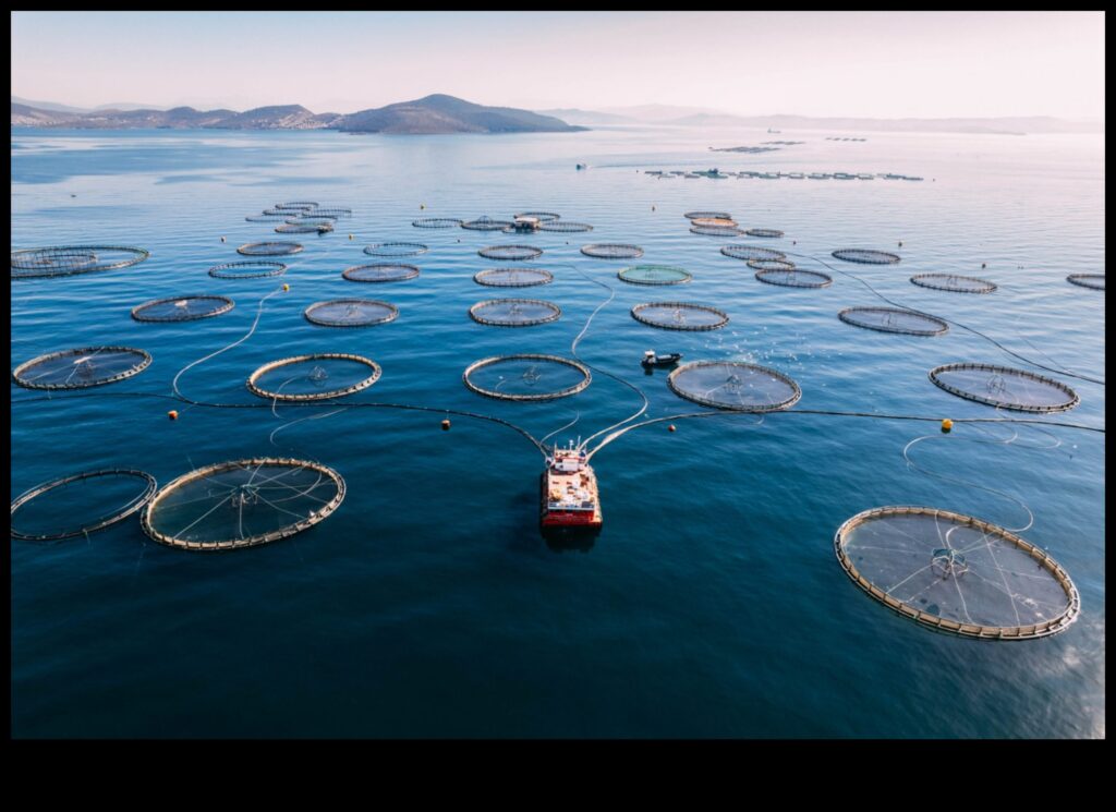Fishy Innovations Breakthroughs in Sustainable Fishing Practices 1