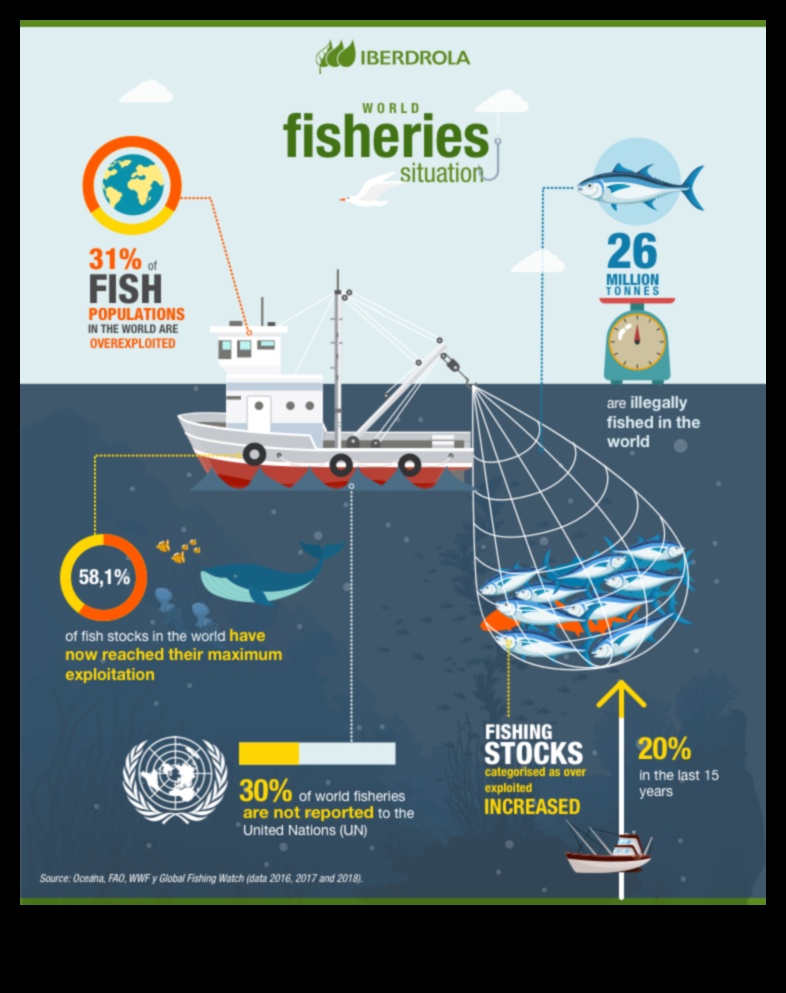 Fishy Innovations: Breakthroughs in Sustainable Fishing Practices