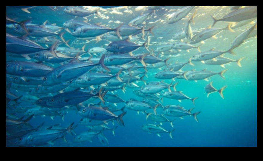 Fishy Innovations: Breakthroughs in Sustainable Fishing Practices