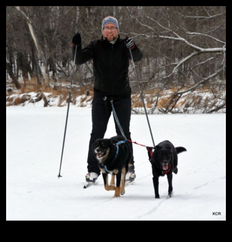 Fitness Fidos: Keeping Your Dog Active and Healthy