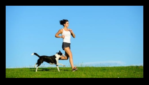 Fitness with Fido: Incorporating Exercise into Your Dog's Routine