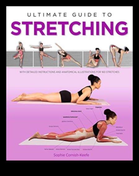 Flex Appeal How to Craft a Resilient Body through Smart Stretching 1