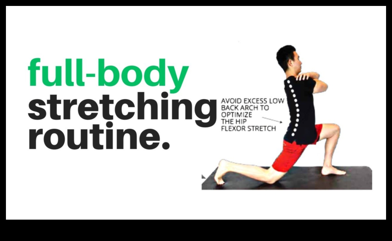 Flex Appeal: Crafting a Resilient Body through Smart Stretching