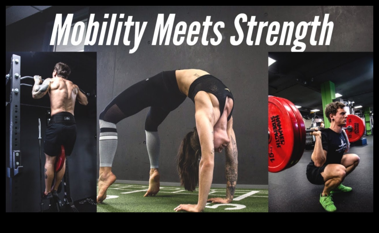 Flex Fusion: The Art of Blending Strength, Mobility, and Grace