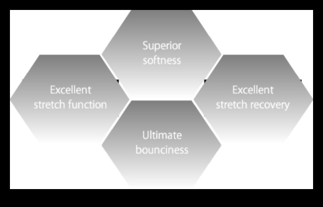 Flex Fusion: The Intersection of Strength and Elasticity