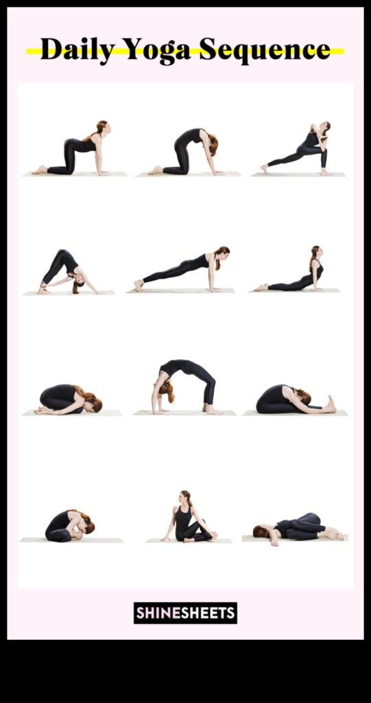 Flex and Burn How to Lose Weight and Gain Flexibility 1