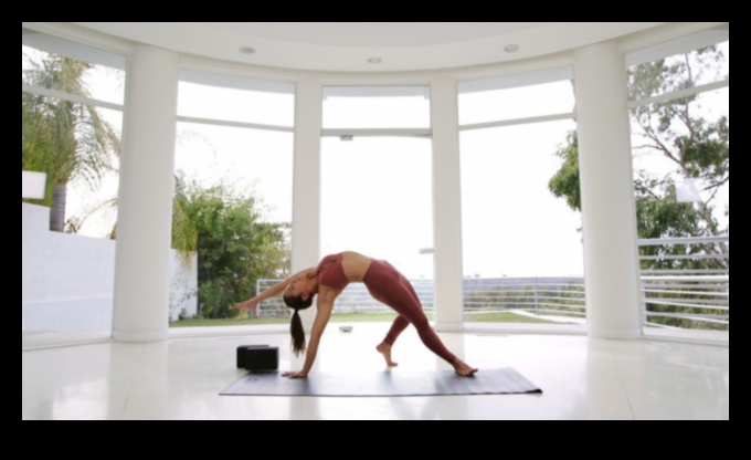 Fluid Flexibility Unlock Your Full Potential with Dynamic Movement 1