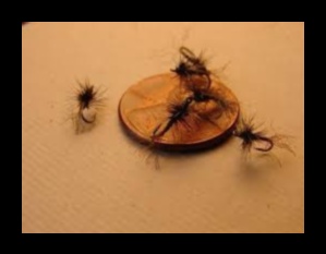 Fly Fishing Finesse: Mastering the Art of Fishing with Flies