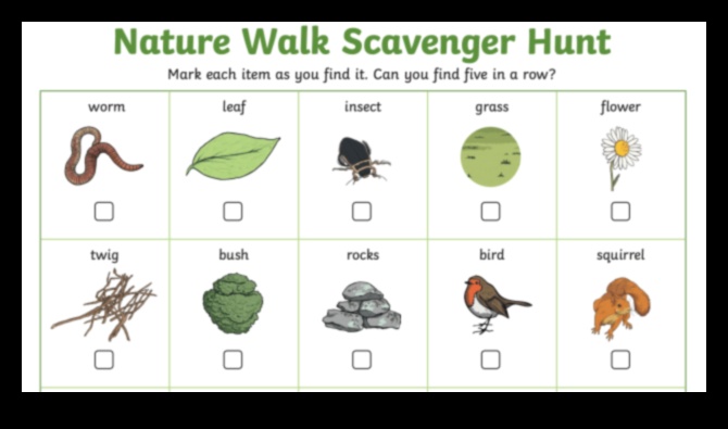 Follow the Clues and Discover Nature's Hidden Treasures on a Trail Treasure Hunt 1