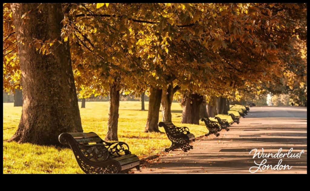 Footloose Explorer Your Guide to the Best City Strolls 1