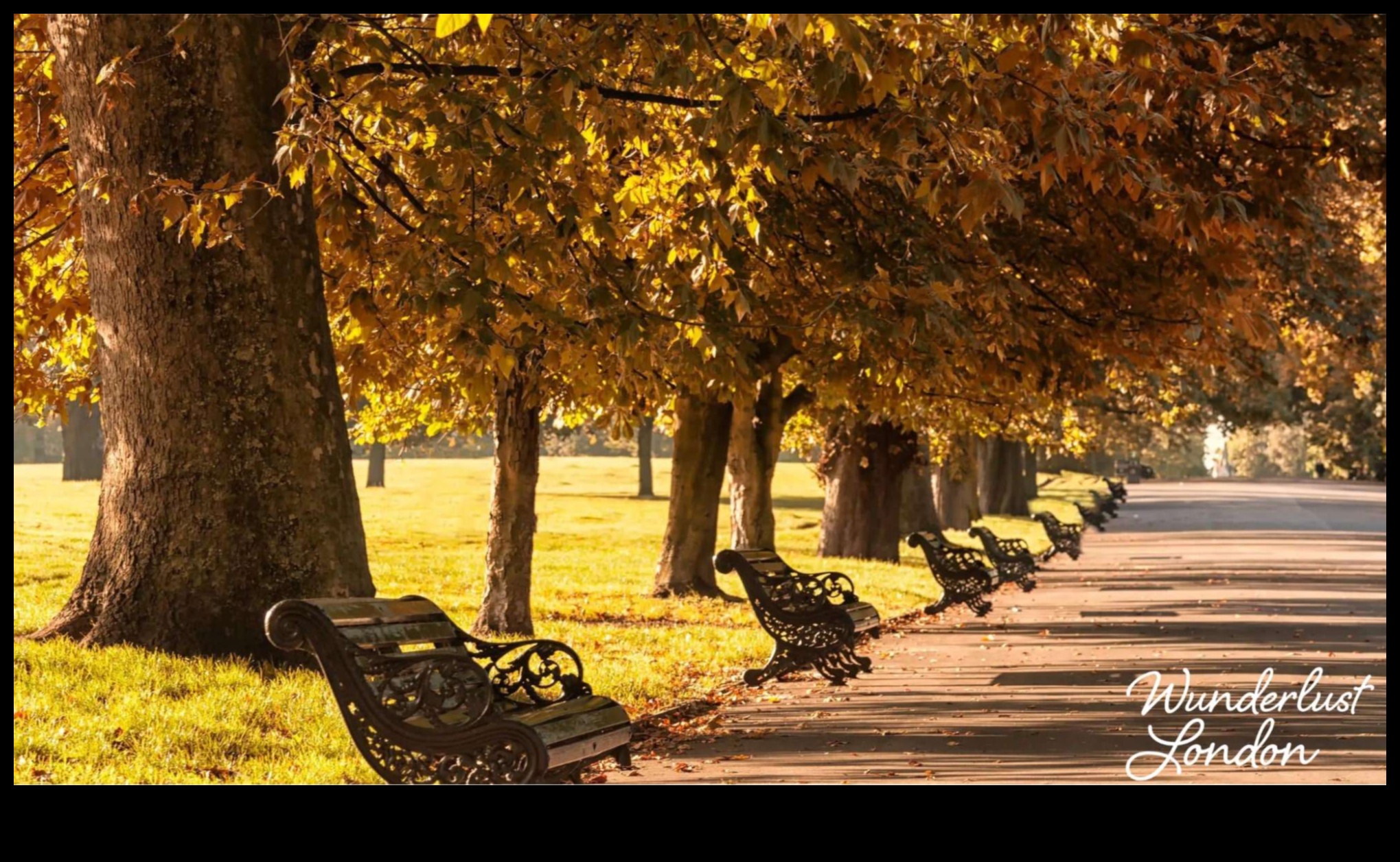 Footloose Explorer: Your Guide to City Strolls