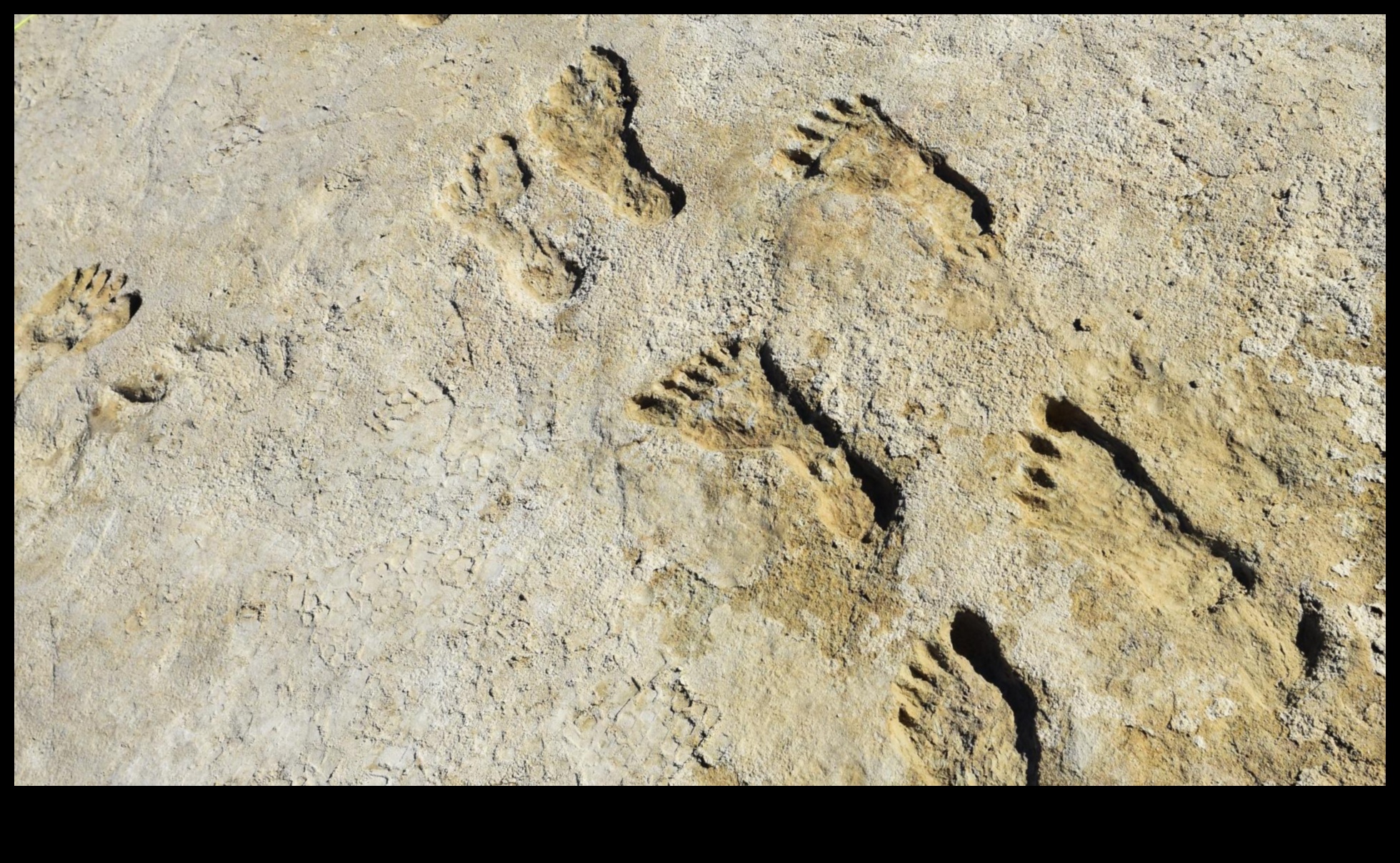 Footprints Unveiled: Exploring the World Step by Step