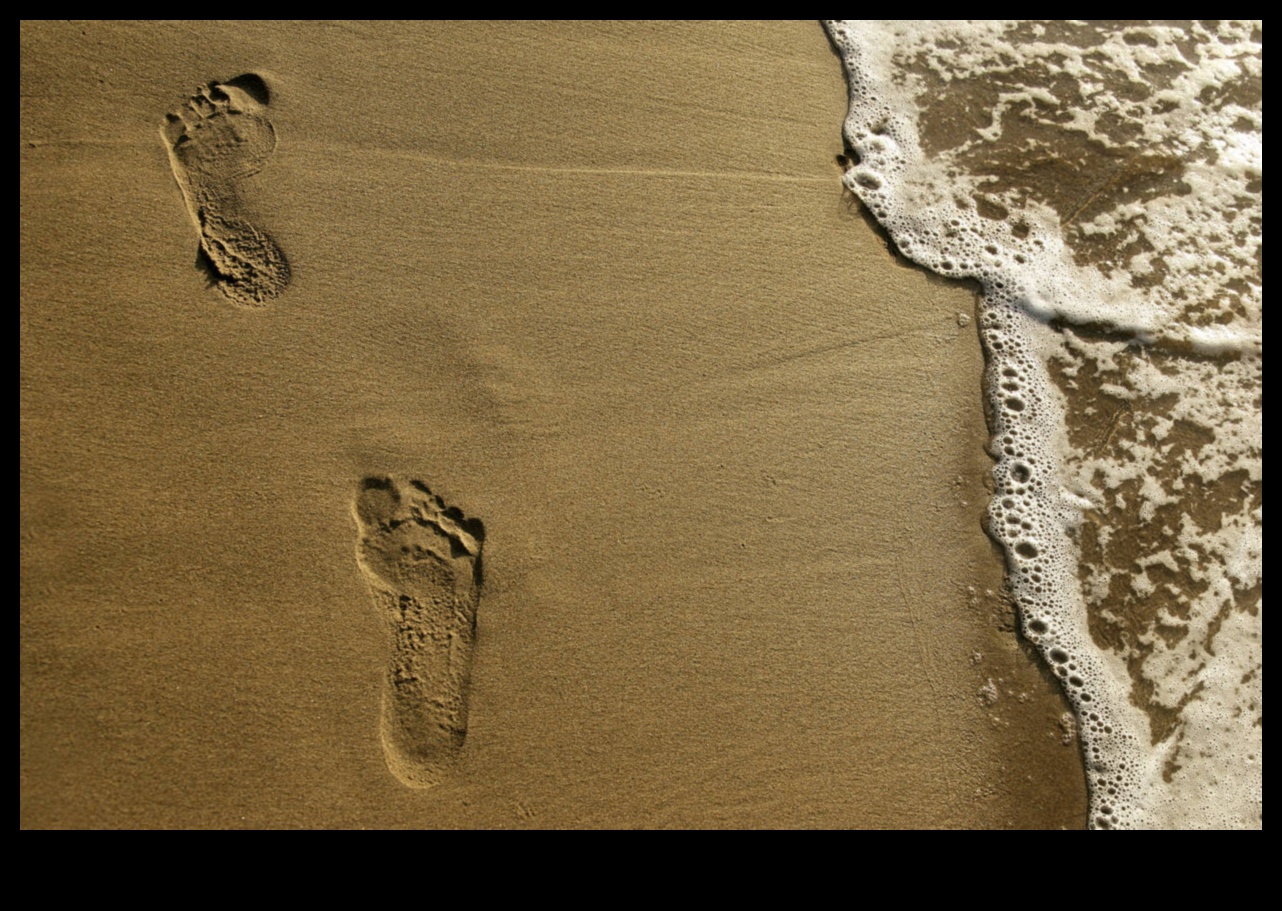 Footprints Unveiled: Exploring the World Step by Step