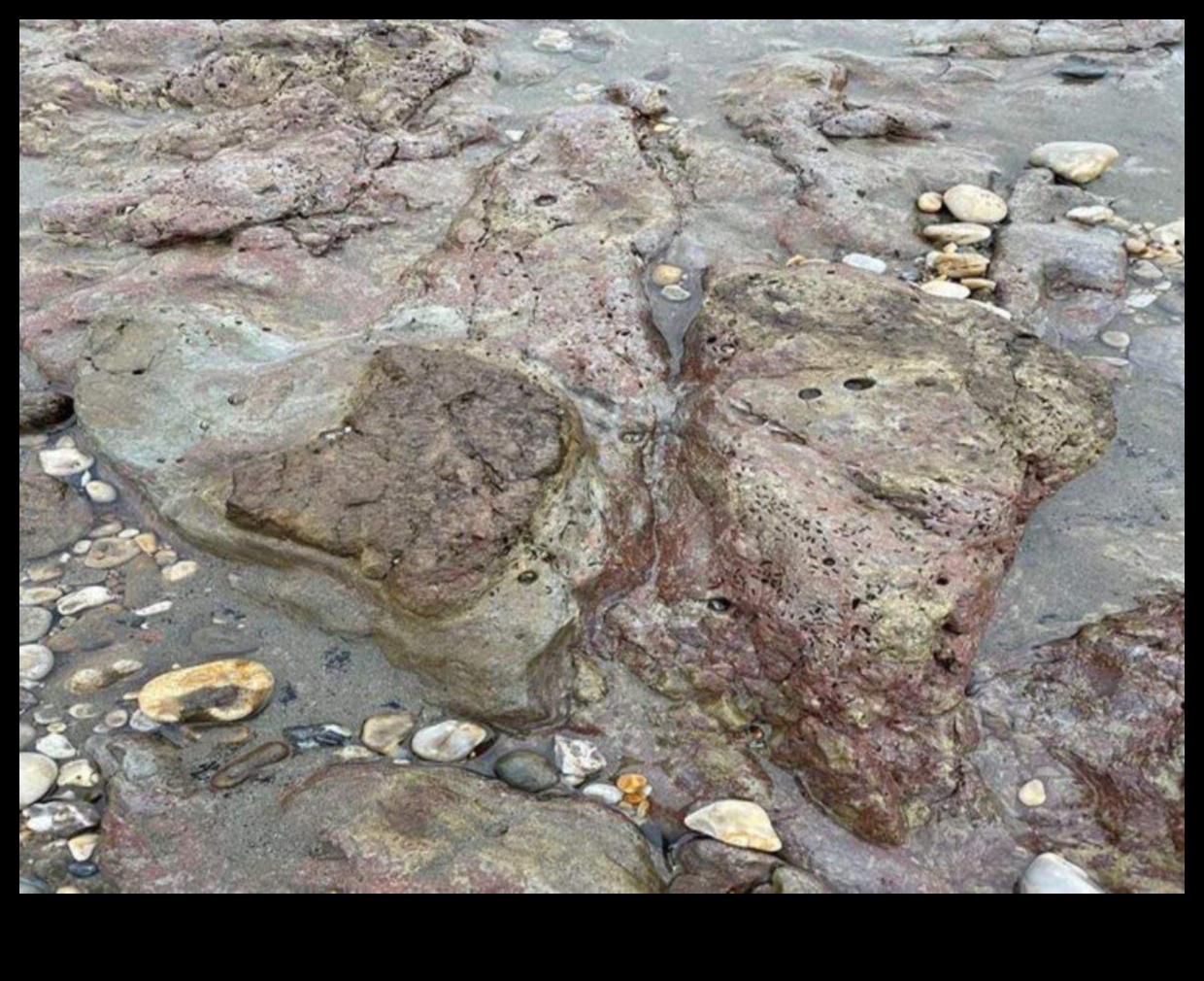 Footprints Unveiled: Exploring the World Step by Step