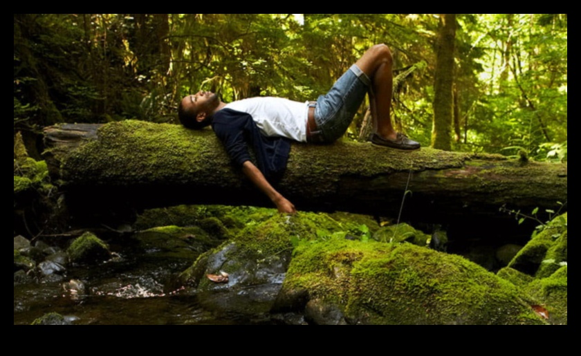 Forest Flow Tranquil Exercises in Nature 1
