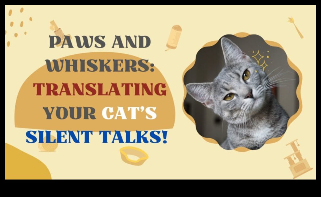 From Paws to Whiskers Decoding Cat Communication 1