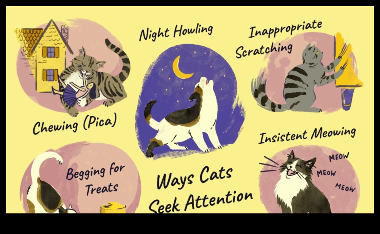 From Paws to Whiskers: Decoding Cat Communication