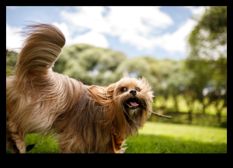 From Tail Wags to Barks: Decoding Dog Communication