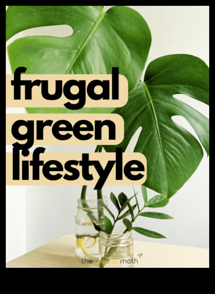 Frugal Footprints How to Live Sustainably on a Budget 1