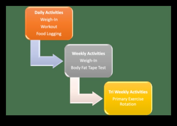 Functional Fitness Feast: Enjoyable Activities for Effective Weight Control