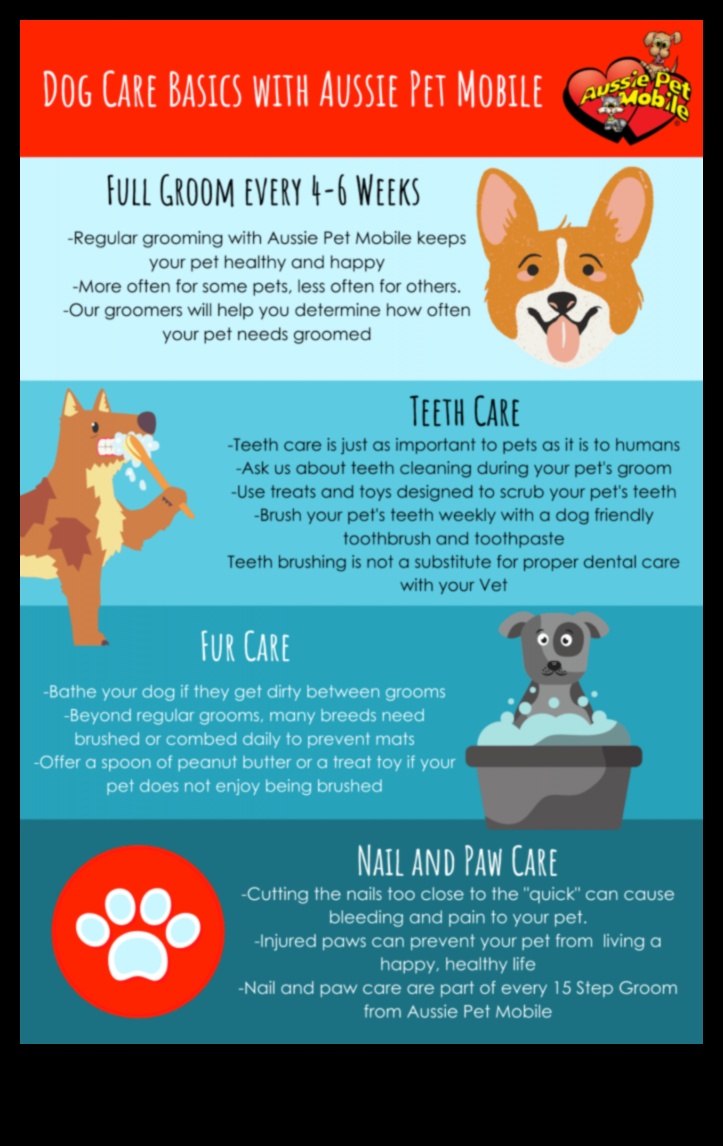 Fur Care Fundamentals: Grooming Tips for Dogs and Cats