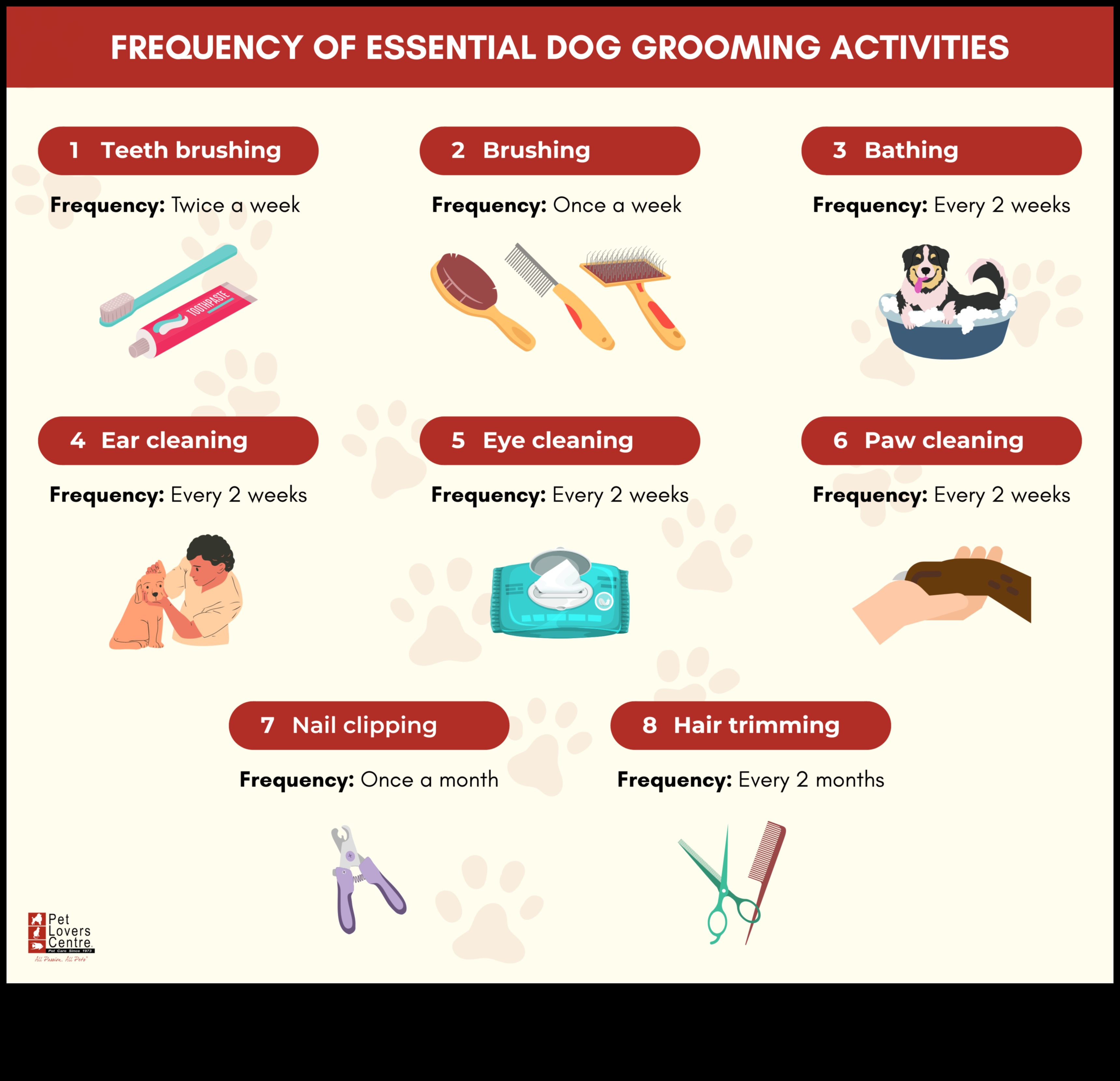 Fur Care Fundamentals: Grooming Tips for Dogs and Cats