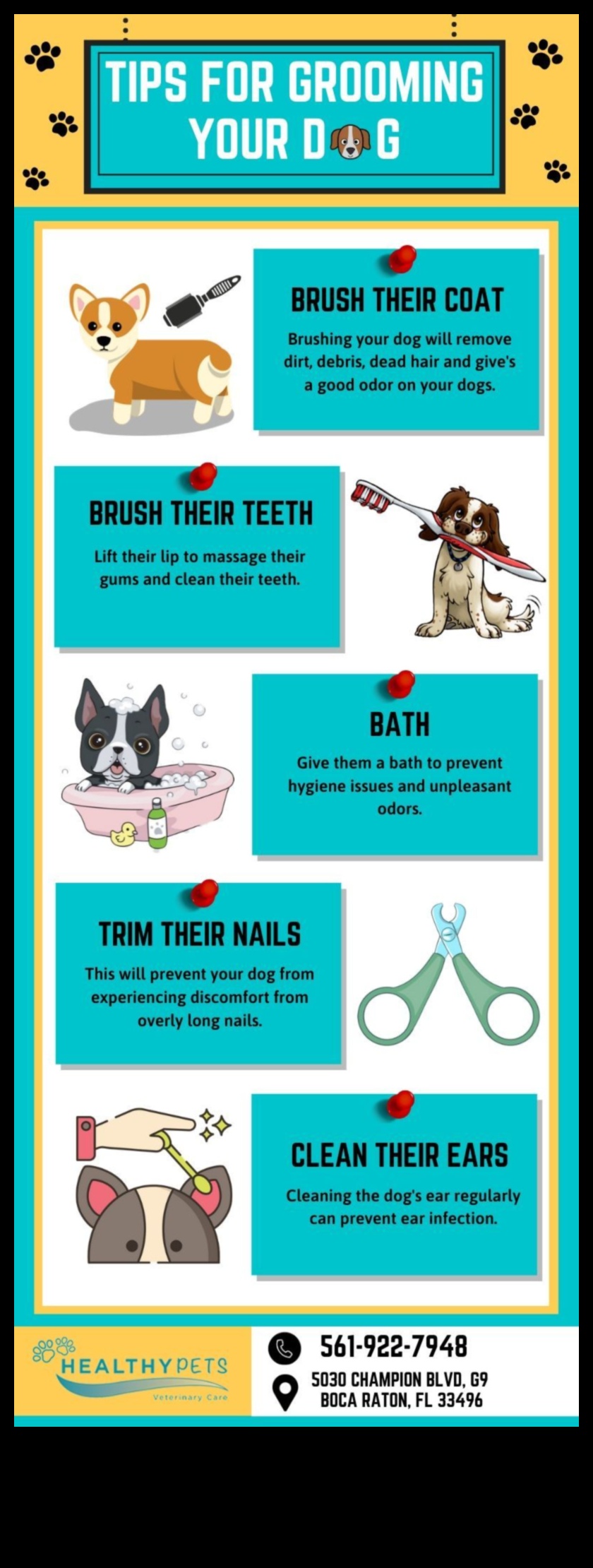 Fur Care Fundamentals: Grooming Tips for Dogs and Cats