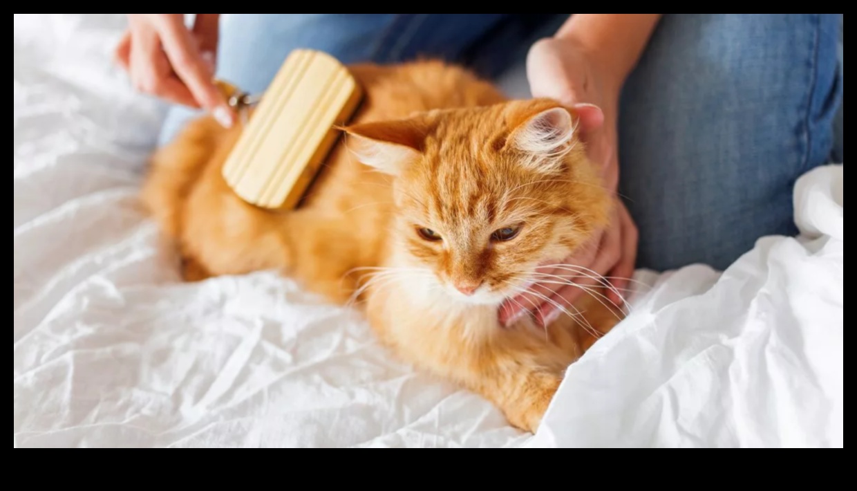Fur Care Fundamentals: Grooming Tips for Dogs and Cats