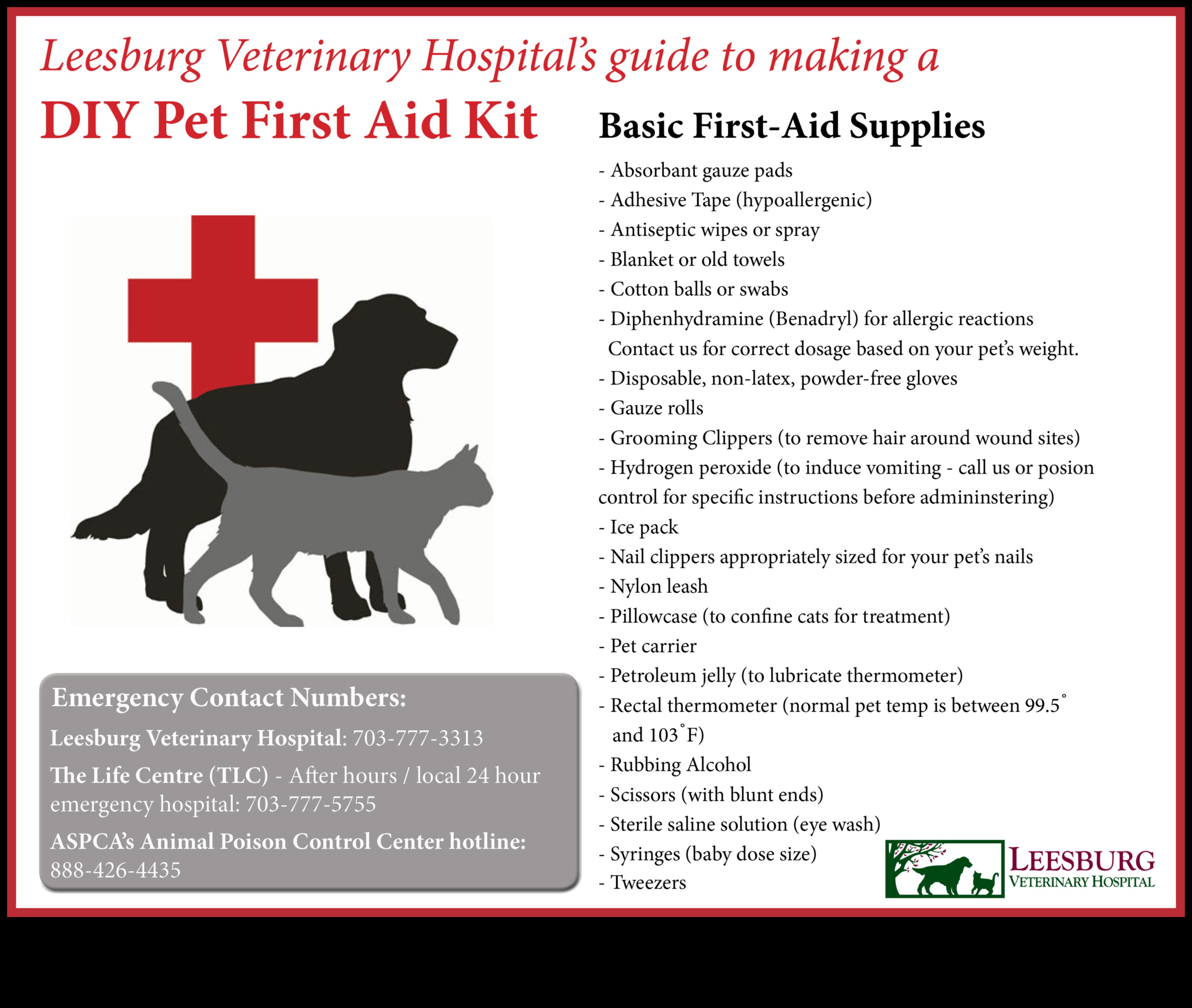 Furry First Aid: Building a Pet Emergency Kit