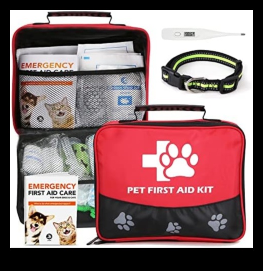 Furry First Aid: Building a Pet Emergency Kit
