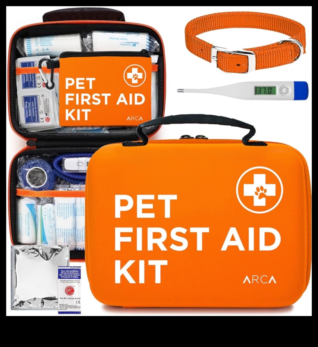Furry First Aid: Building a Pet Emergency Kit