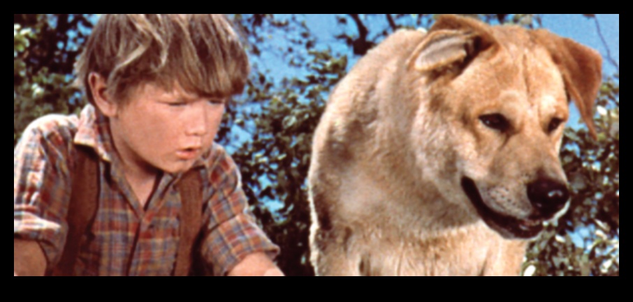 Furry Friends on Film: Iconic Dogs in Cinema History